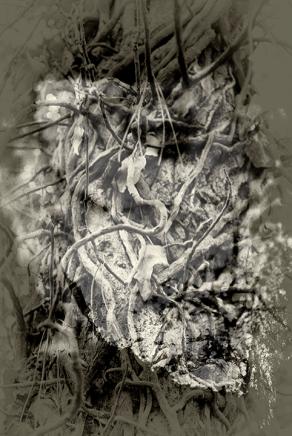  la fusione delle maschere