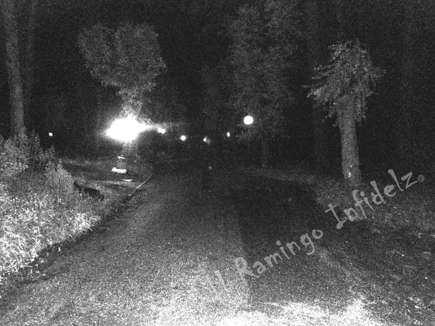 Saint Mary's presences