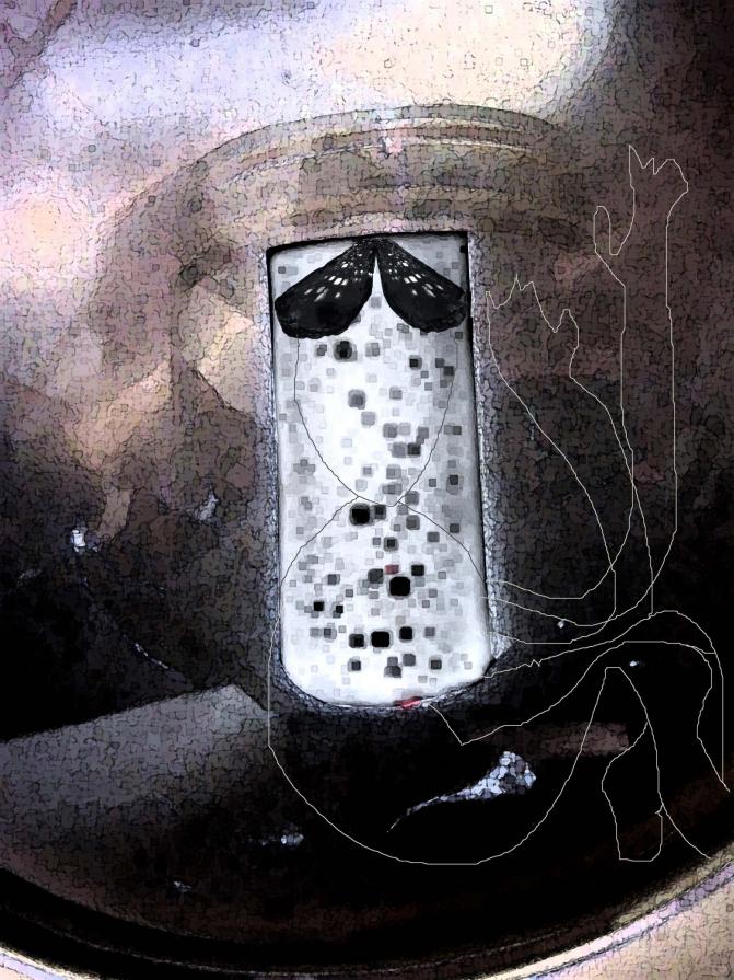 Butterfly of the Glass