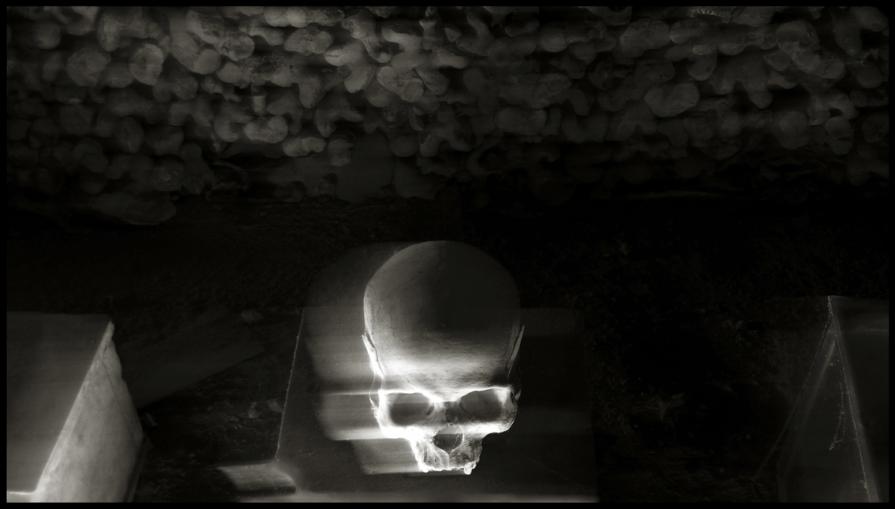 Skulls (Skull, Teschi, Teschio) - fotografia di Augusto De Luca. 34