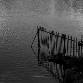 Ponds Hampstead heath 