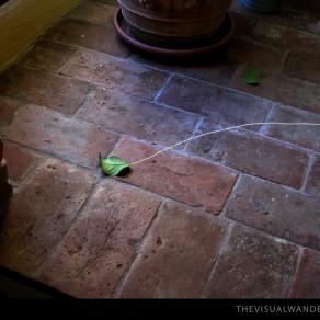 We are sorrounded by invisible beings