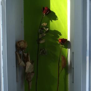 Home series 2 (composto da 9 elementi cm. 20x20x4)