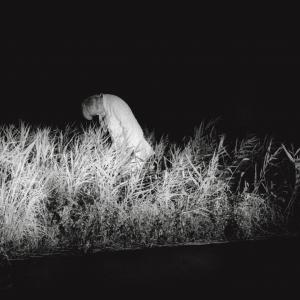 Man in the Night field(Father,Field) Man in the Night field(Father,Field)