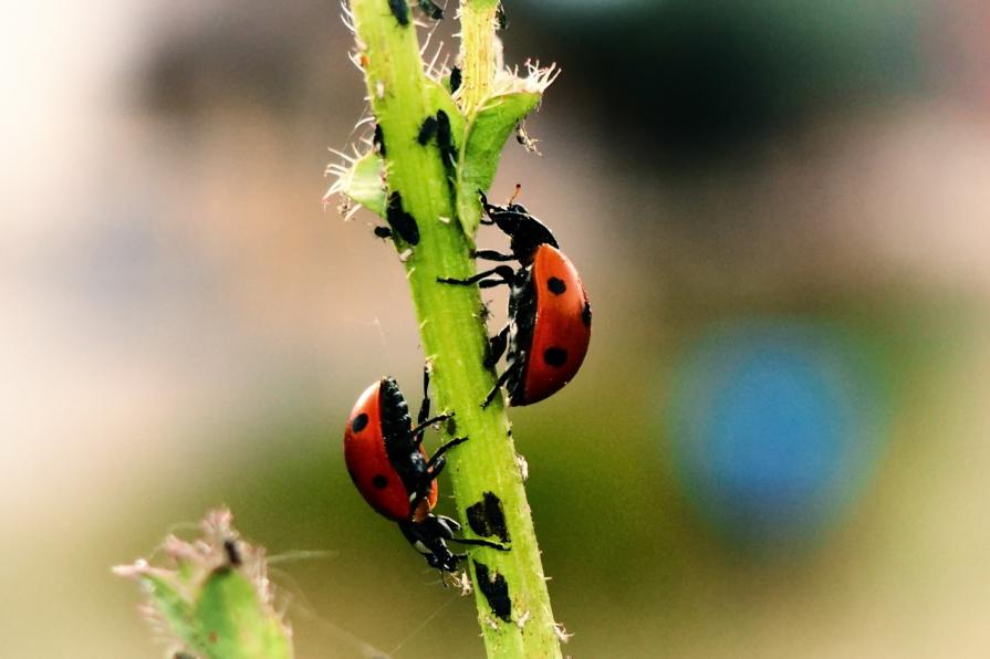 C'è chi sale e c'è chi scende 