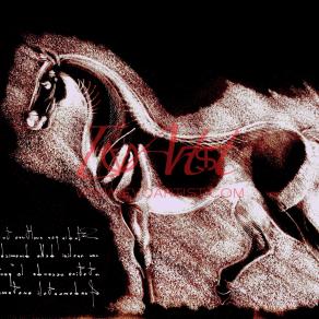 Studio di equino - Tributo al maestro Leonardo da Vinci Studio di equino - Tributo al maestro Leonardo da Vinci