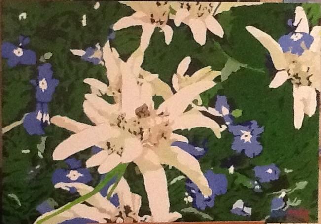 Stelle alpine con genziane