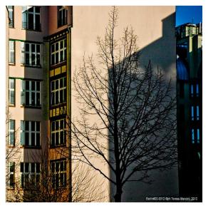 Berlin#20-0312 Berlin#20-0312