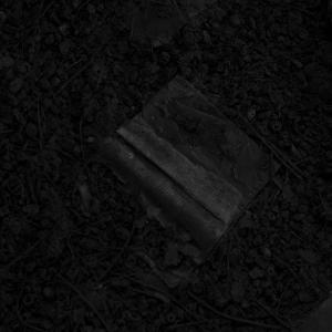 Senza titolo dalla serie 