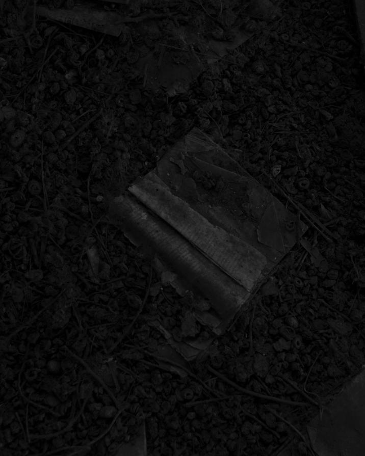 Senza titolo dalla serie 