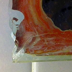 Utopia contemporanea14