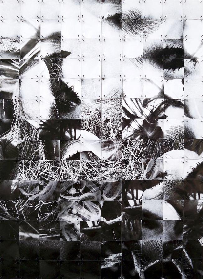 Inside the Nature Inside the Nature