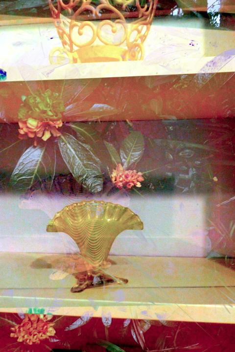 Victorian lime vireya