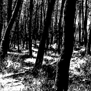 PER UN OMAGGIO A FRIEDRICH