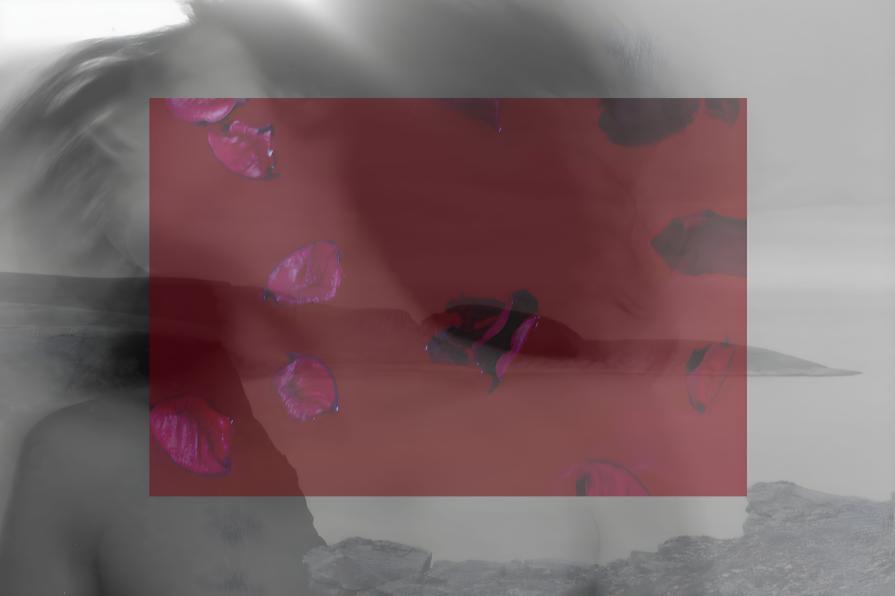 71°10'21''N Settantuno gradi Nord, 10 minuti, 21 secondi