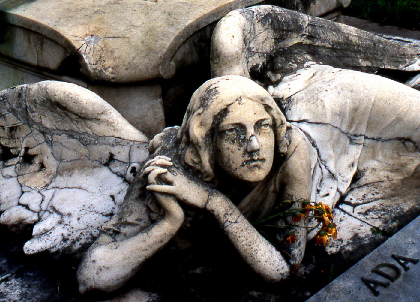 Lo sguardo del Sacro