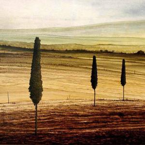 Taste Tuscany Taste Tuscany