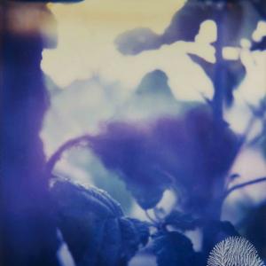 Fabrizio Ceccardi, Landscapes