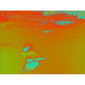 Subtle Technologies Festival