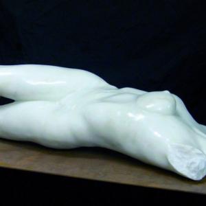 Natura:Luci e Ombre a Modena.