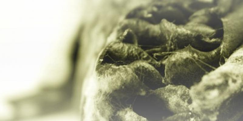 i gioielli del tempo i gioielli del tempo