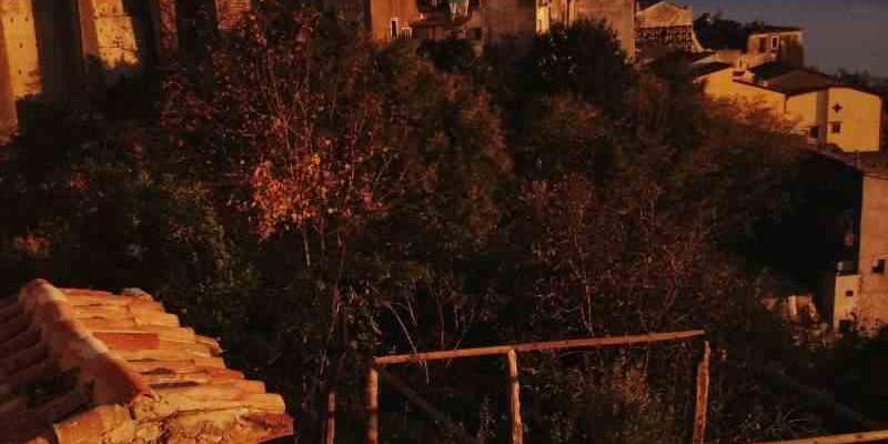 Terra Vivente Art Studio painting workshop Terra Vivente Art Studio painting workshop