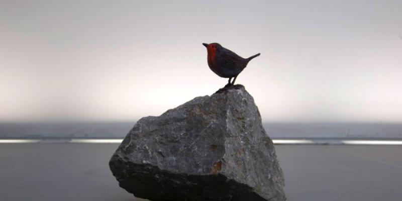 Camera Obscura Camera Obscura