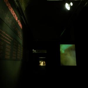 ROBERTA CONI-TENTAR LA CARNE inferno I