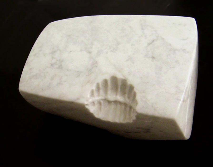 la vita è un mozzico (life is a bit) 5