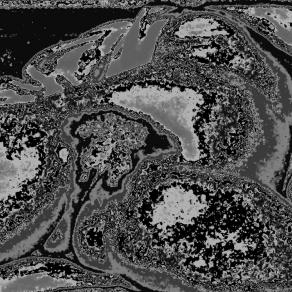 Lux. Libera reinterpretazione....