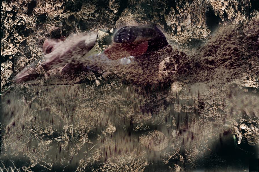 tutti facciamo ritorno a madre natura