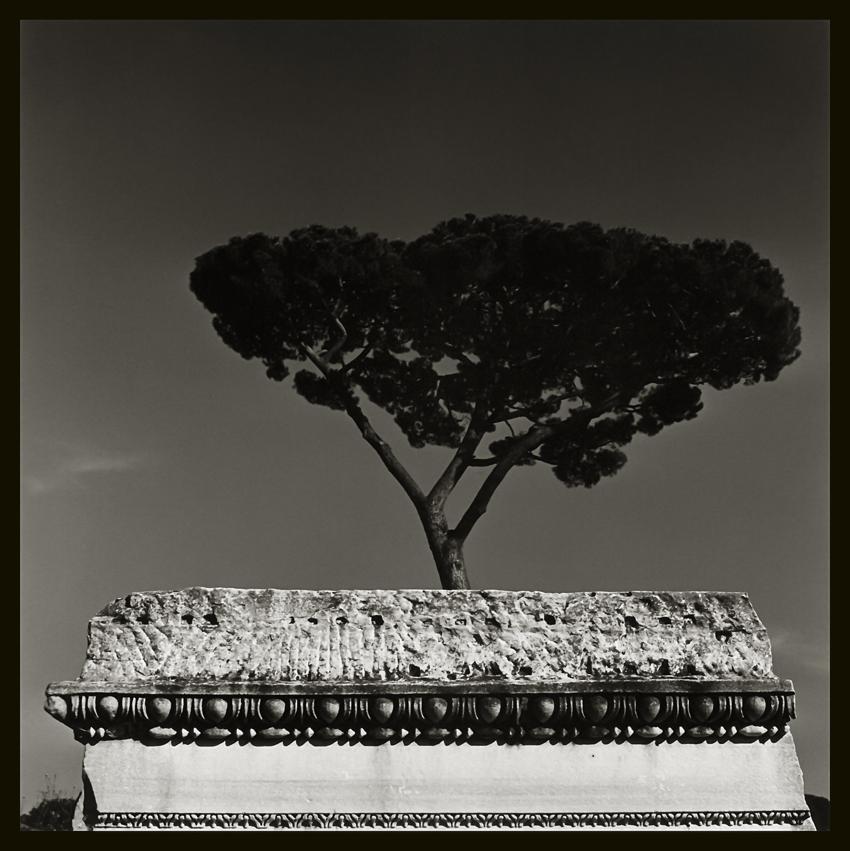 Augusto De Luca - Italy / Italia. 56