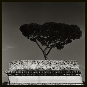 Augusto De Luca - Italy / Italia. 56