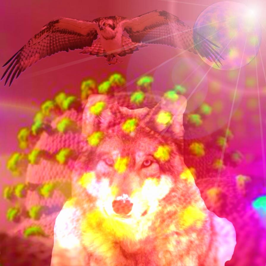 QUANDO POSSONO QUASI TOCCARSI SEMPRE INSIEME ETERNAMENTE DIVISI FINCHÈ CI SARANNO IL GIORNO E LA NOTTE...!!!