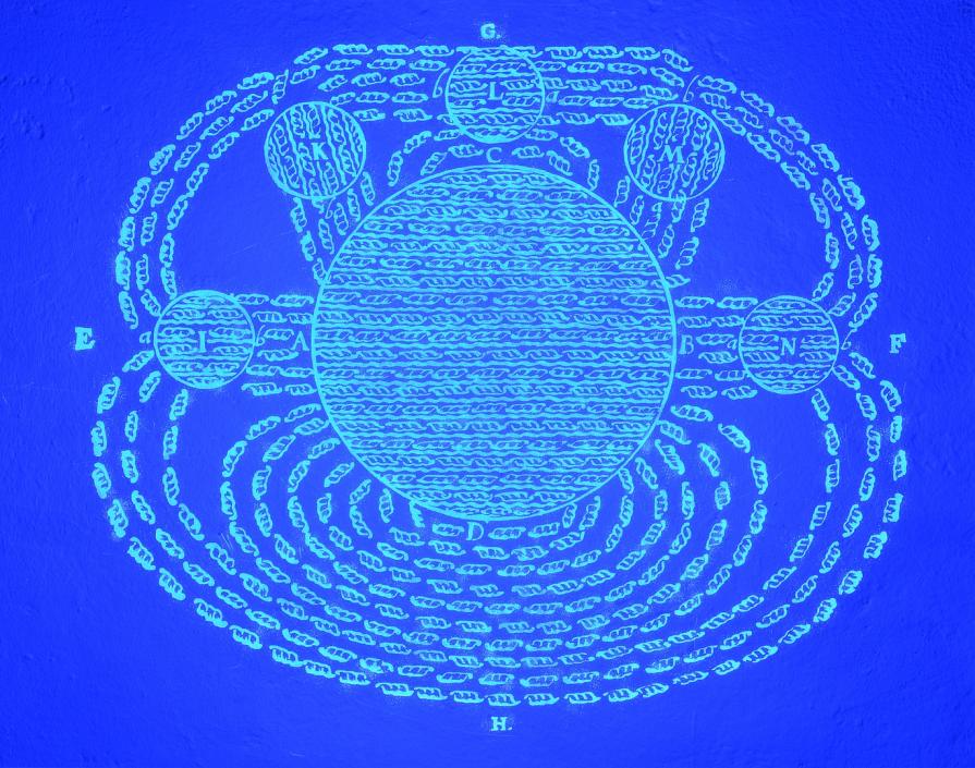 Wild Gauss Chase (Light)