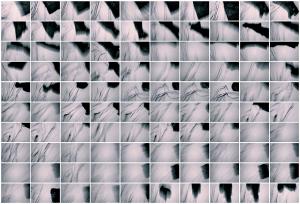 BARBARA NESPOLINO - R i V E L A Z I O N I