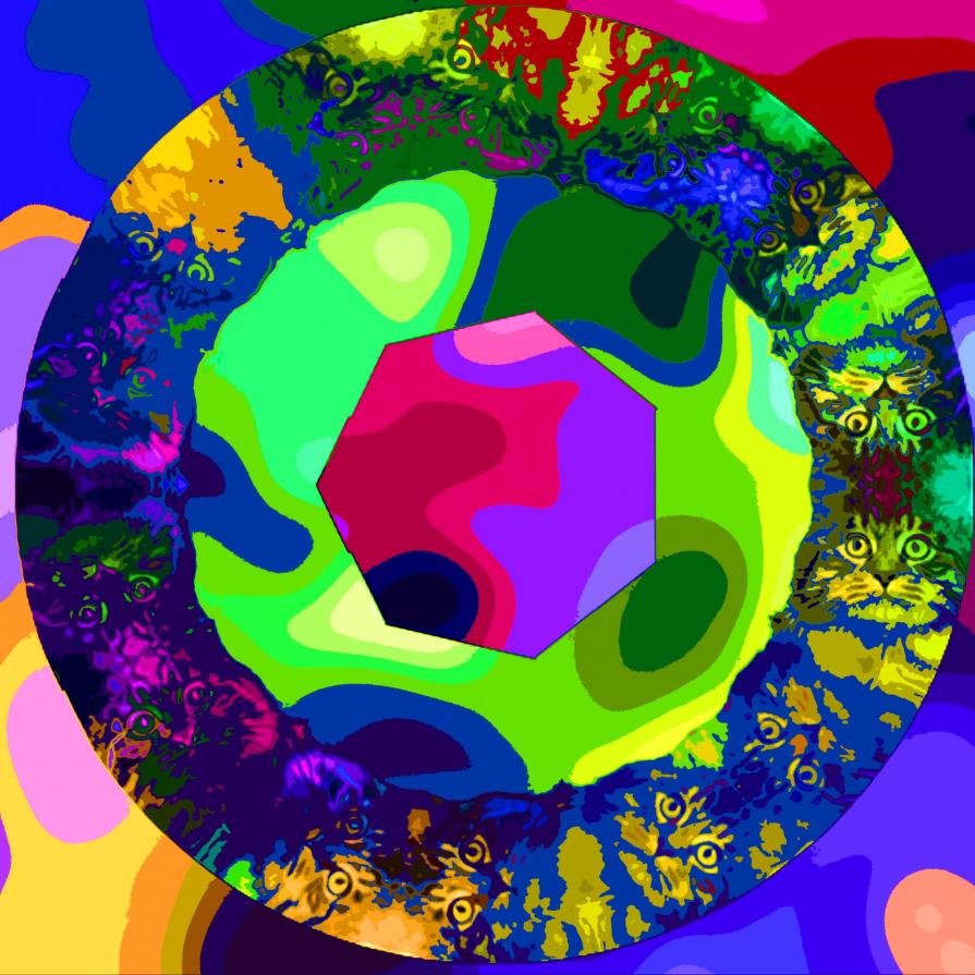 . . . NON SARO' MAI TROPPO FOLLE !!! . . . 