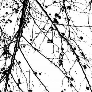 Cicatrici nel cielo4, SC-art Cicatrici nel cielo4, SC-art