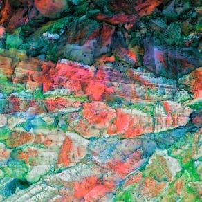 Il Tempio nella Foresta