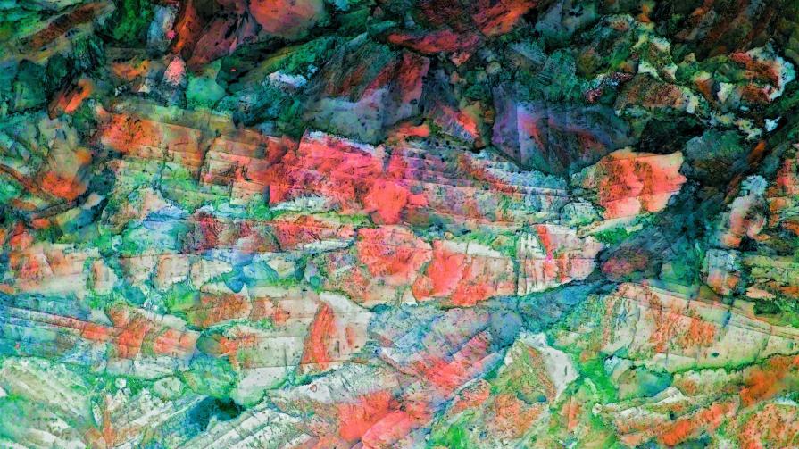 Il Tempio nella Foresta