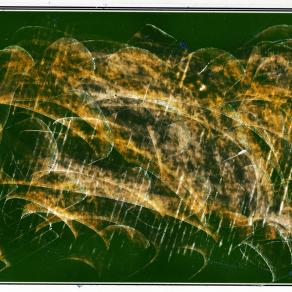 il vento muove il verde in eventi sensibili.