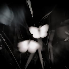 I'm in love with you 