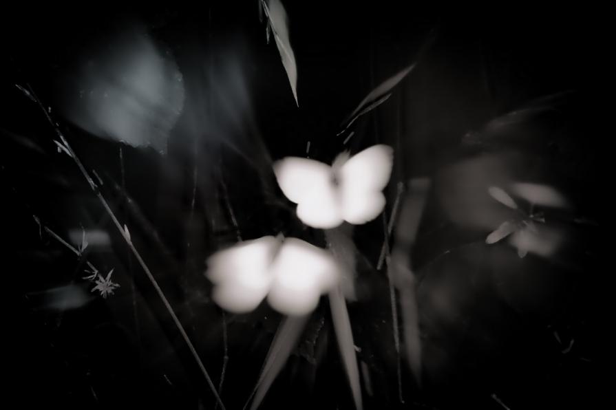 I'm in love with you 