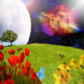 Per fare un Prato...ci vuole un SOGNO ...!!!!