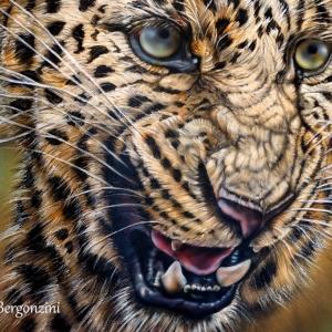 ANIMALS ART A PALAZZO DUCALE