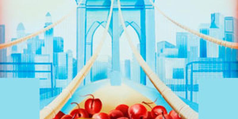 DIEGO VALENTINUZZI - L'Arte Italiana dalla terra alla tavola 