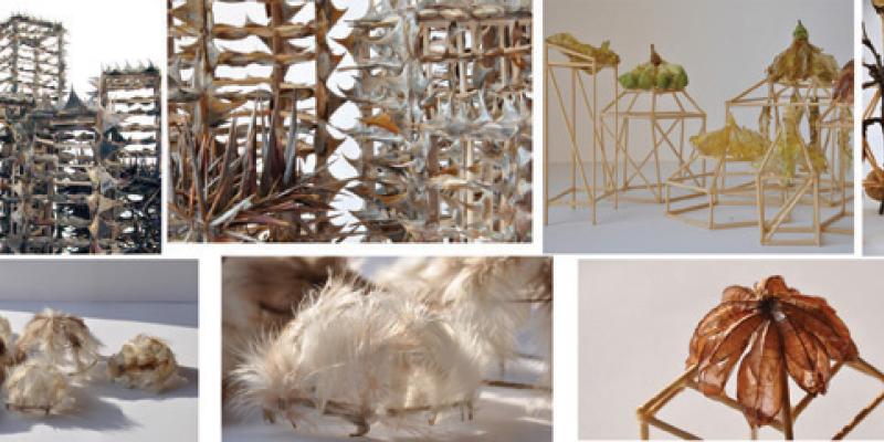 GIULIA BERRA, MOSTRA PERSONALE GIULIA BERRA, MOSTRA PERSONALE