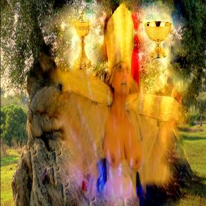 libro LA SIBILLA DI GERUSALEMME di Rosa Didonna libro LA SIBILLA DI GERUSALEMME di Rosa Didonna