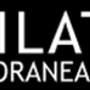 Lobodilattice Speciale Silvio Giordano, vincitore del Premio Celeste 