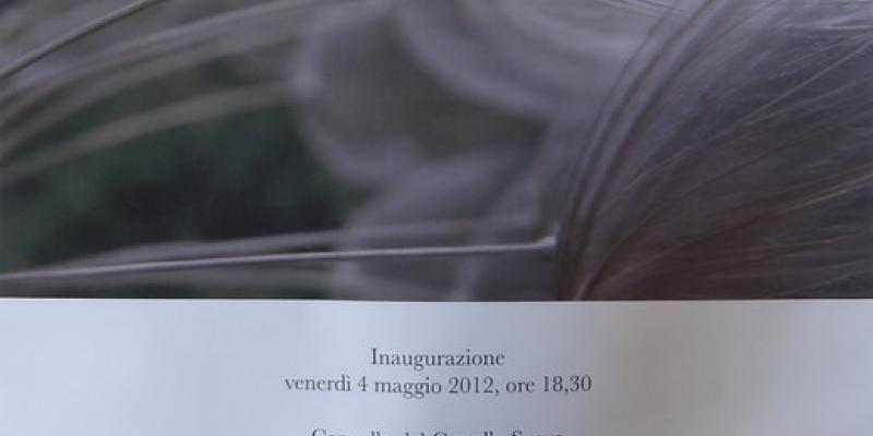 IL FASCINO SEGRETO DELLA NATURA